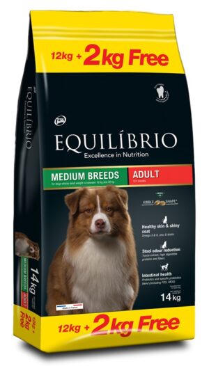 Equilibrio Mittlere Rasse Erwachsene 12+2 kg