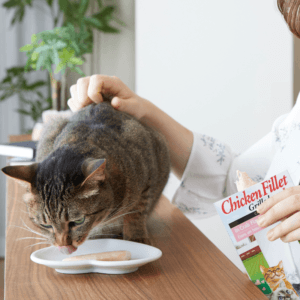 INABA CIAO Gegrilltes Thunfischfilet in Thunfischbrühe 15g – Bild 5