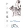 GIMCAT Pasta Expert Line Kitten
