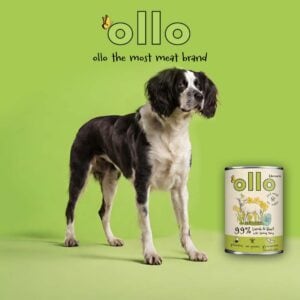 Ollo Umami Lamm- und Rindfleisch mit Frühlingsgemüse 400g Limited Edition – Bild 5