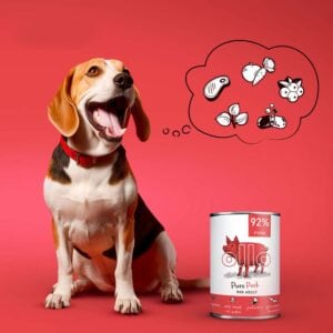 Ollo Pure Pork 400g Mono-Protein für Hunde mit Futtermittelallergien – Bild 3