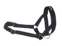 Amiplay Halfter Basic M (N3) Cocker Spaniel Schwarz