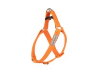 Amiplay Verstellbarer Gurt Samba XL Orange