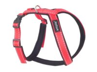 Amiplay Verstellbarer Gurt Grand Soft Reflektierend M Rot