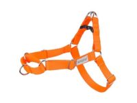 Amiplay EASY GO Samba XL verstellbarer Gurt Orange
