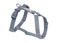 Amiplay Guard Samba verstellbarer Gurt L Grau