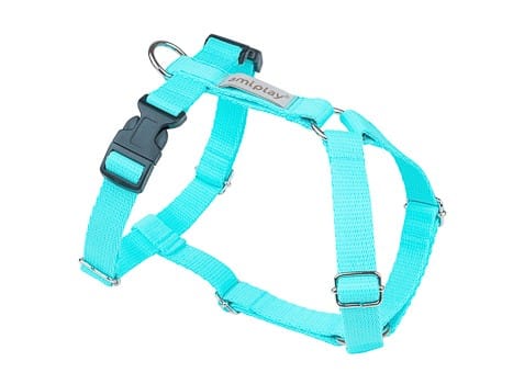 Amiplay Guard Samba verstellbarer Gurt L Türkis