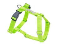 Amiplay Guard Samba verstellbarer Gurt XS Grün