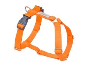 Amiplay Guard Samba verstellbarer Gurt L Orange