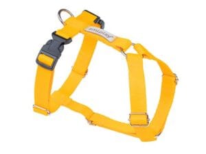 Amiplay Guard Samba verstellbarer Gurt L Gelb
