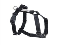 Amiplay Guard Samba XL verstellbarer Gurt Schwarz