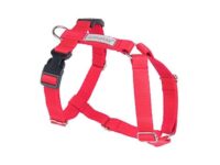 Amiplay Guard Samba verstellbarer Gurt L Rot
