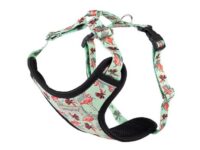Amiplay Discovery BeHappy S Flamingo verstellbarer Gurt