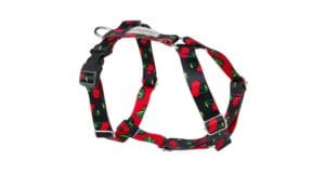Amiplay Guard verstellbares Geschirr BeHappy L Cherry