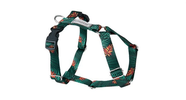 Amiplay Guard verstellbares Geschirr BeHappy M Jungle