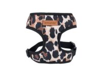 Amiplay Gurtzeug Scout Safari XS Leopard