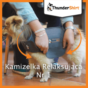 ThunderShirt Entspannungsweste für Hunde XS (4-6kg) – Bild 3