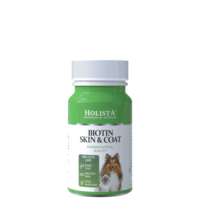 HOLISTA Biotin Skin & Coat 90 Tabletten zur Unterstützung des Haarkleides und der Haut