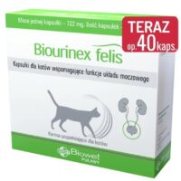 BIOWET Biourinex Felis 40 Kapseln für die Harnwege der Katze
