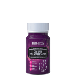 HOLISTA Cistus Polyphenole 90 Tabletten Reinheit Blattextrakt