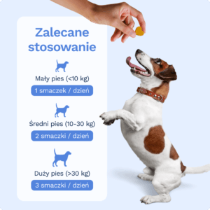 TRUEBOND Pre Pro & Postbiotic Chews Ergänzungsfuttermittel für Hunde – Bild 2