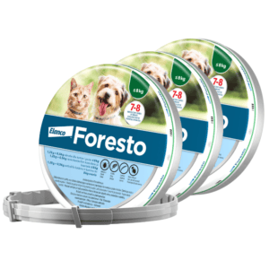 FORESTO Zecken- und Flohhalsband für kleine Hunde und Katzen (38cm) 3 PACK