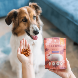 Perro - DAJ TWO - Turnschuhe Ente 85g – Bild 3