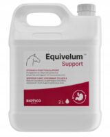 Biovico Equivelum Support 2L für Pferde mit Magengeschwüren, für ein angenehmes Magengefühl