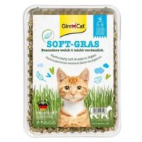 GimCat Soft Gras Weiches Gras fĂŒr Katzen im 100-g-BehĂ€lter
